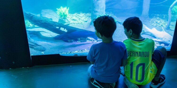 Aquário Municipal de Cuiabá amplia visitas guiadas com atendimento adaptado a diferentes públicos
