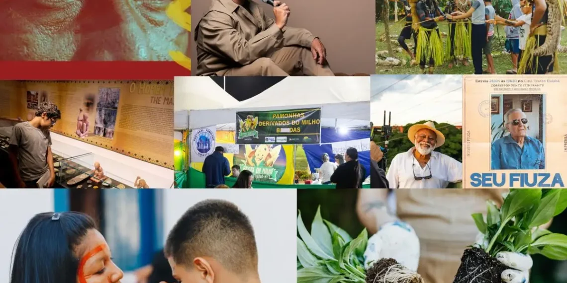 Sextou! Fim de semana tem shows nacional, feira de adoção e eventos culturais