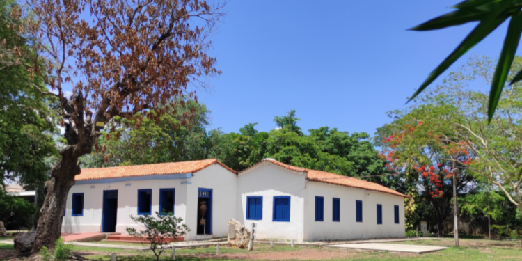 Exposição de ecoarte em cerâmica será lançada nesta quinta-feira (2) no Museu de História Natural de Mato Grosso