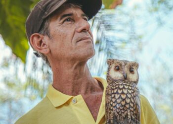 Sesc Arsenal recebe artesão especialista em arte hiper-realista esculpida em madeira neste sábado (18)