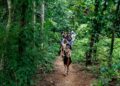 Palestra sobre sustentabilidade e desenvolvimento social está com inscrições abertas