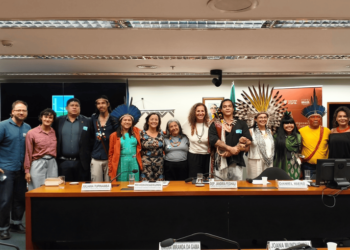 Audiência pública debate construção do Plano Nacional das Culturas dos Povos Indígenas