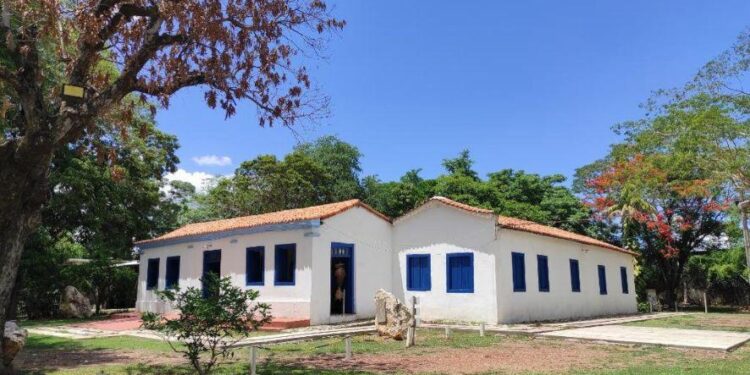 Confira a programação do mês de junho do Museu de História Natural de Mato Grosso