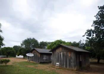 Concurso destaca contribuições do saber indígena para a arquitetura