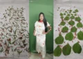 Folhas de planta medicinal estampam coleção de roupas produzidas por indígenas em MT