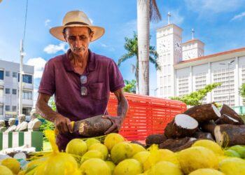 Feira da Agricultura Familiar reúne mais de 60 expositores nesta terça-feira na Praça Alencastro