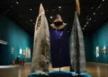 Exposição no CCBB do Rio traz a força da arte de mulheres da Amazônia